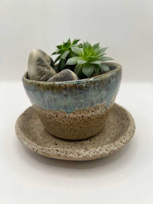 Planter with tray